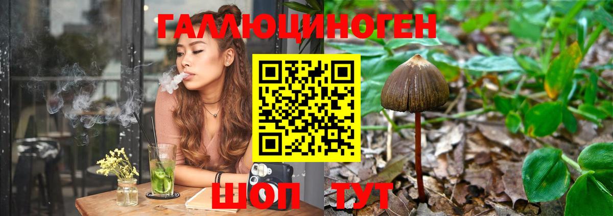 Галлюциногенные грибы ЛСД  Галлюциногенные грибы MAGIC MUSHROOMS  Печора  Вход с VPN 